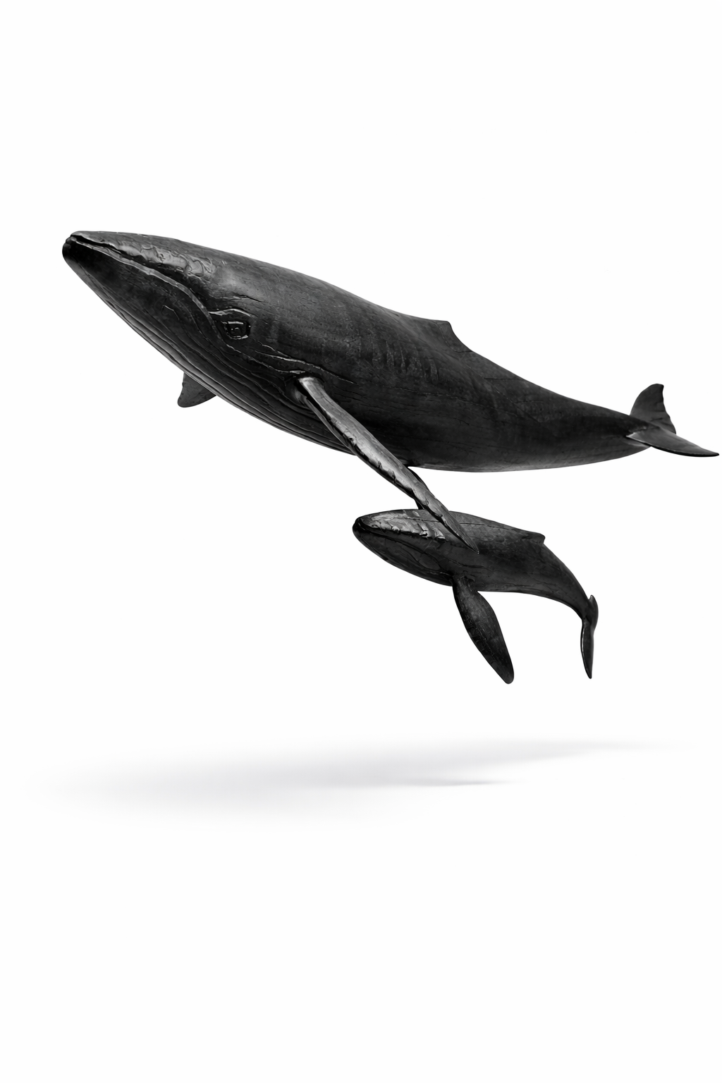 Whale