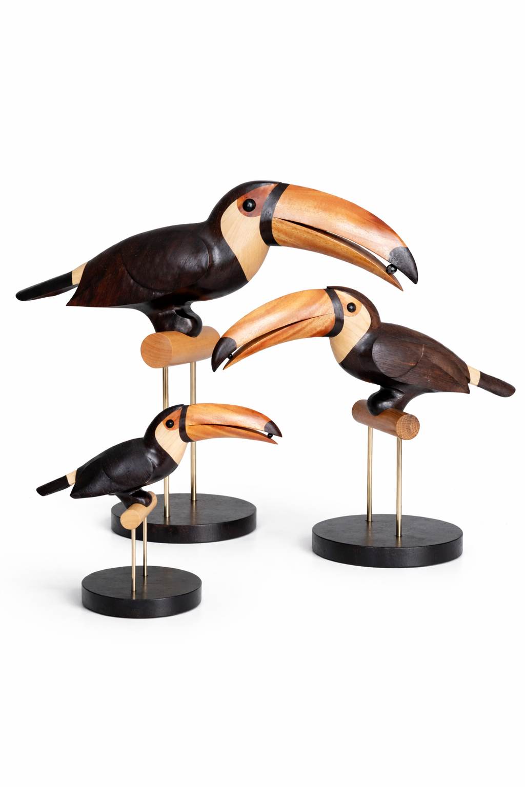 Toucan