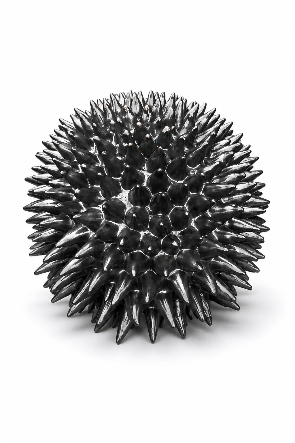 Sea urchin