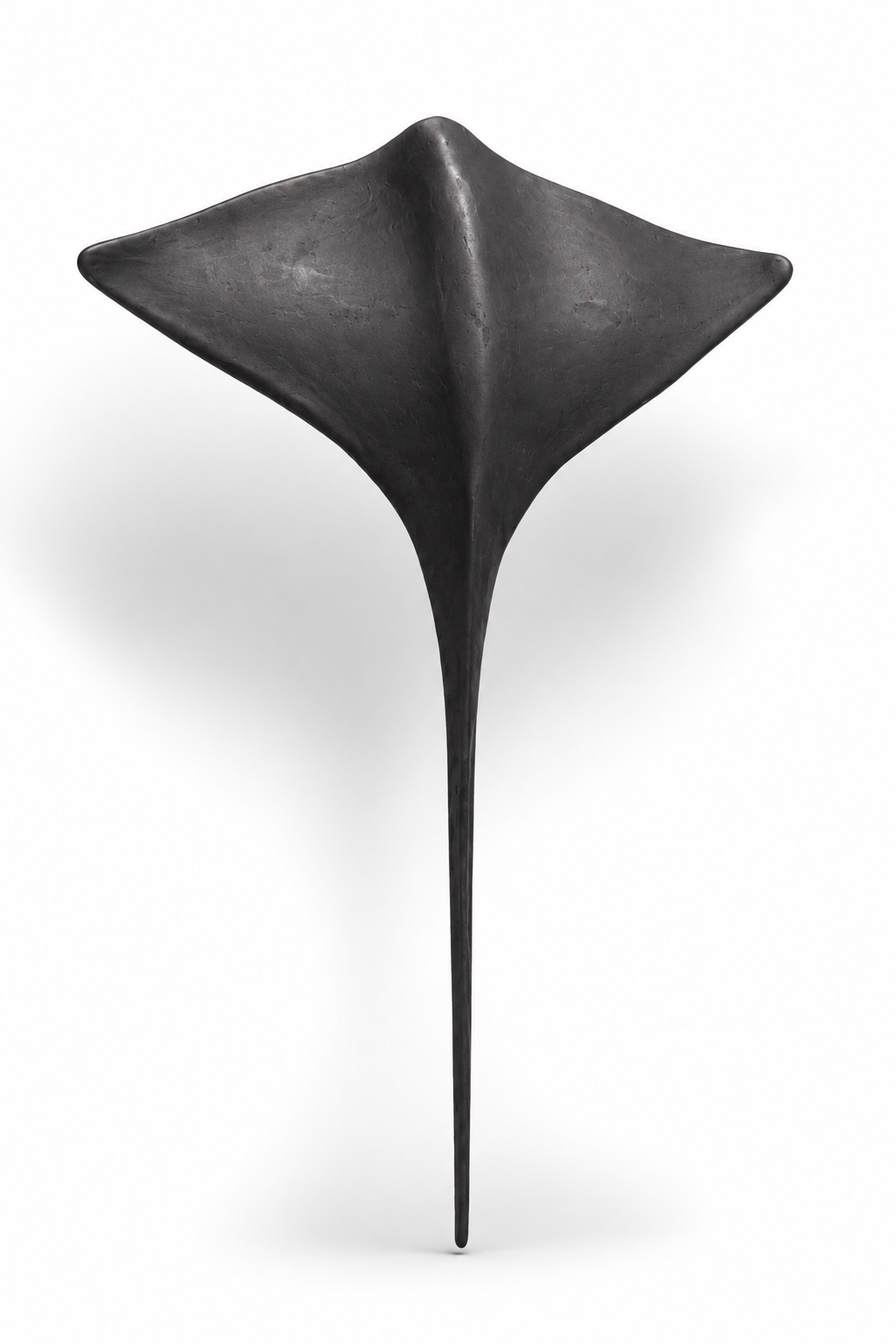 Stingray