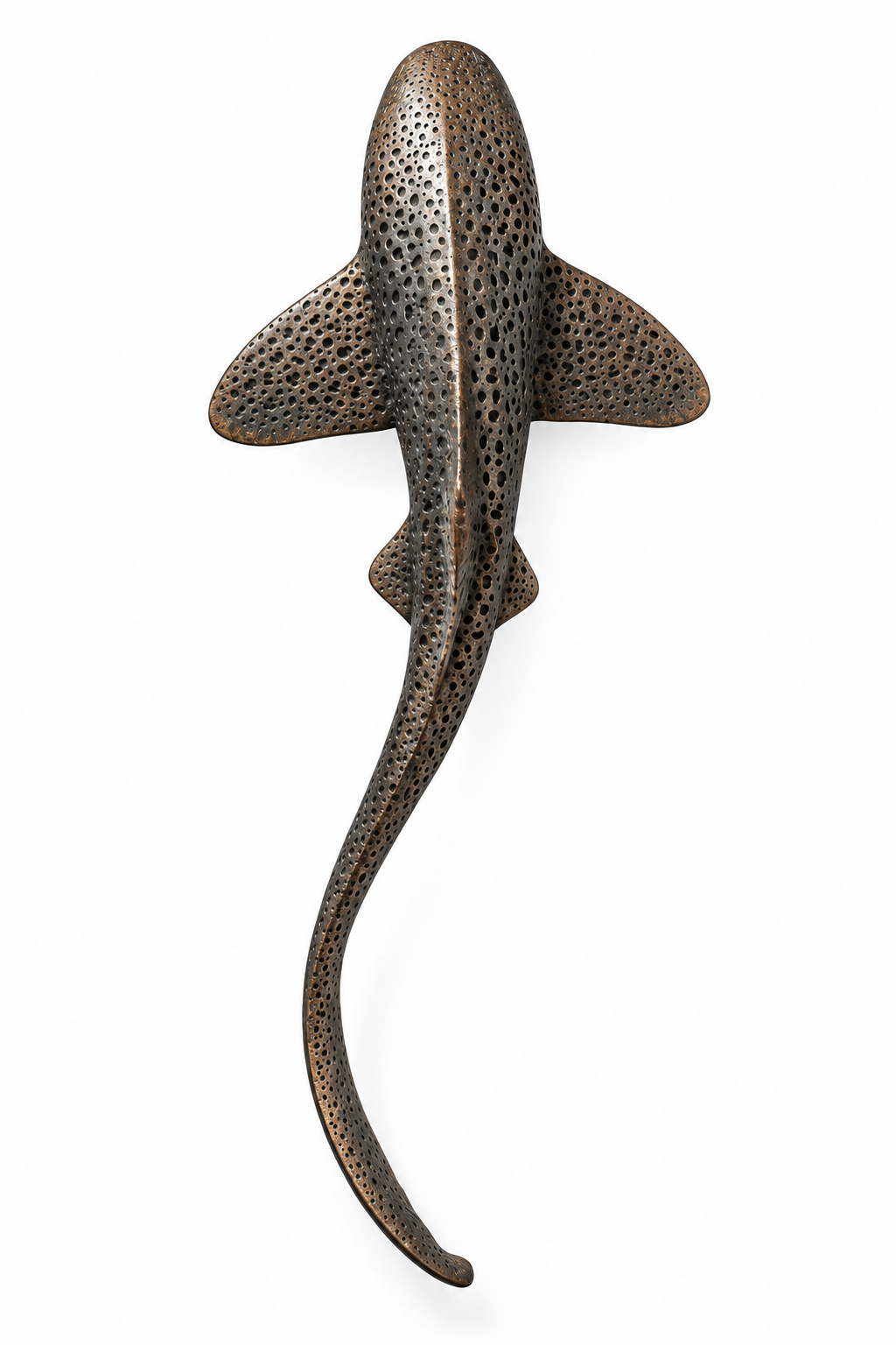 Leopard Shark